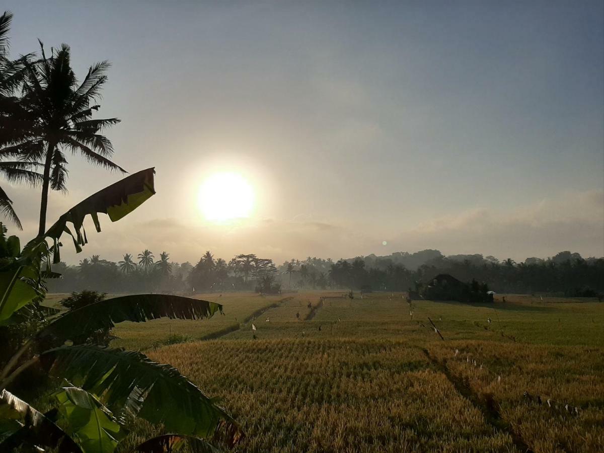 The Satya Villa Ubud
